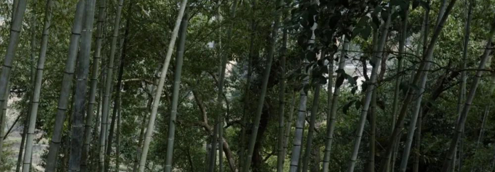 背景图