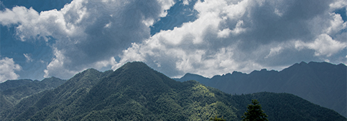 背景图