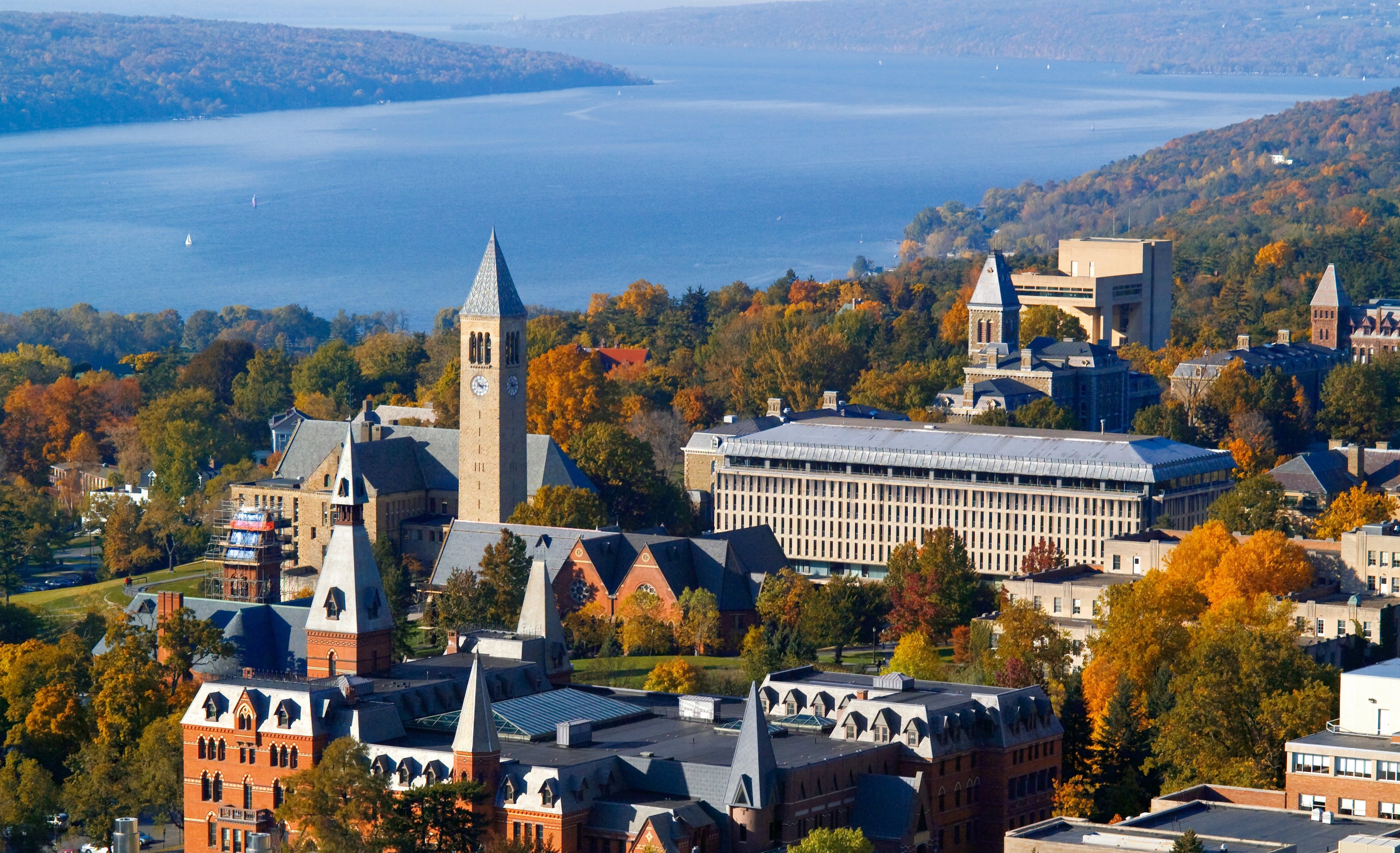 Cornell University Business Minor - b9oqbdg